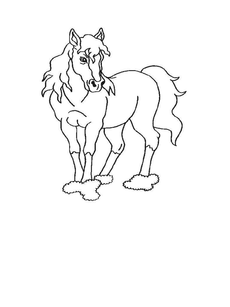 19 | PDF
