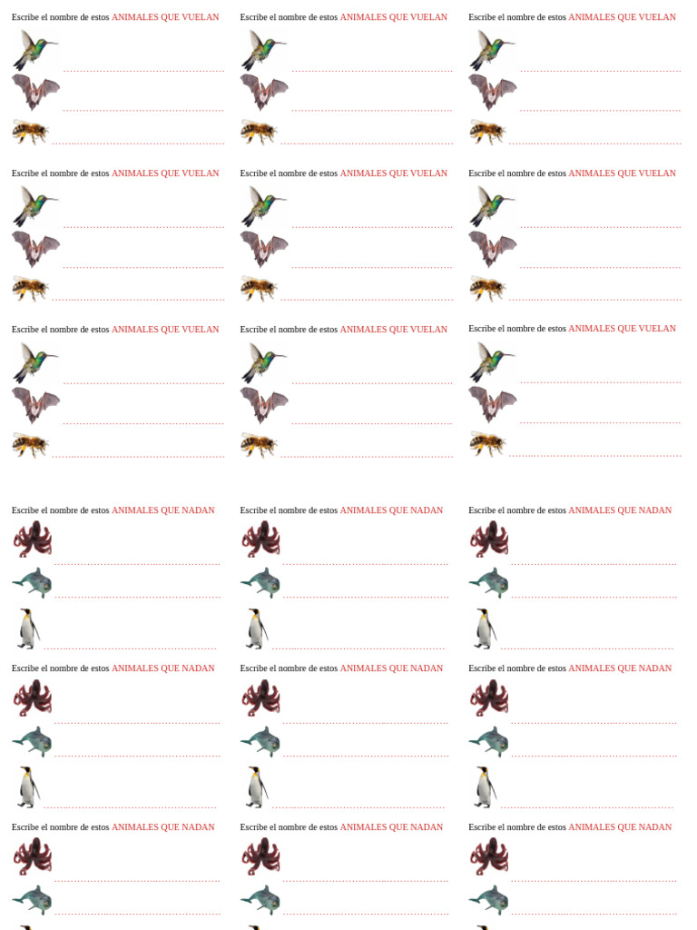 Animales que vuelan y nadan | PDF
