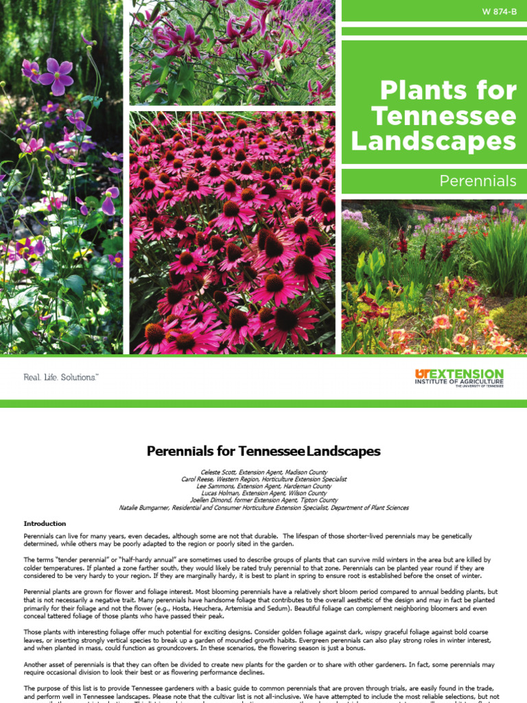 Tennessee Perennial Guide | PDF | Plants | Botany