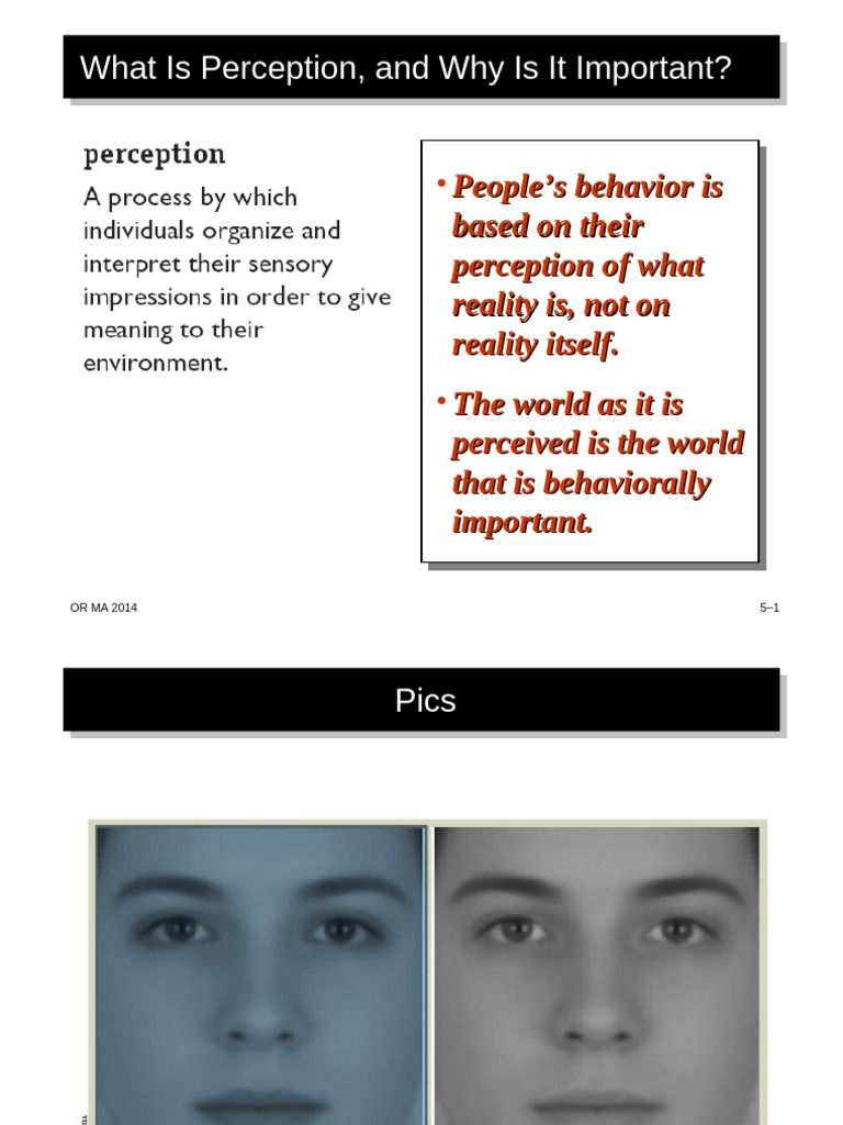 Perception-factorsFeb8 - 2022-02-25T174359.175 | PDF | Perception ...