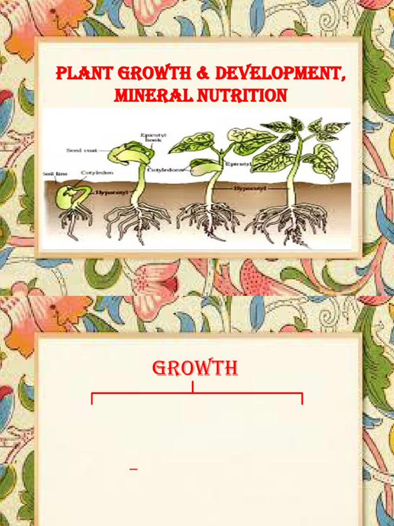 Plant water relation | PDF | Auxin | Plant Hormone