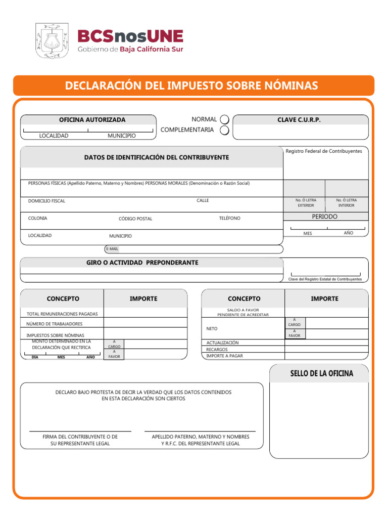 Isn Formato | PDF