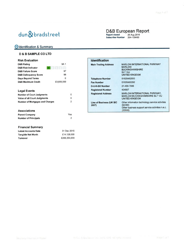 D B International Report Sample | PDF