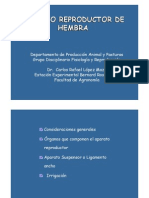 14 - Aparato reproductor hembra