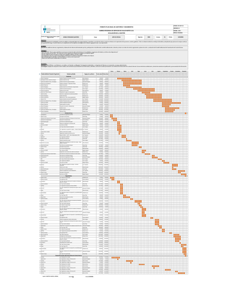 Plan Anual de Auditorías 2025 | PDF | Business