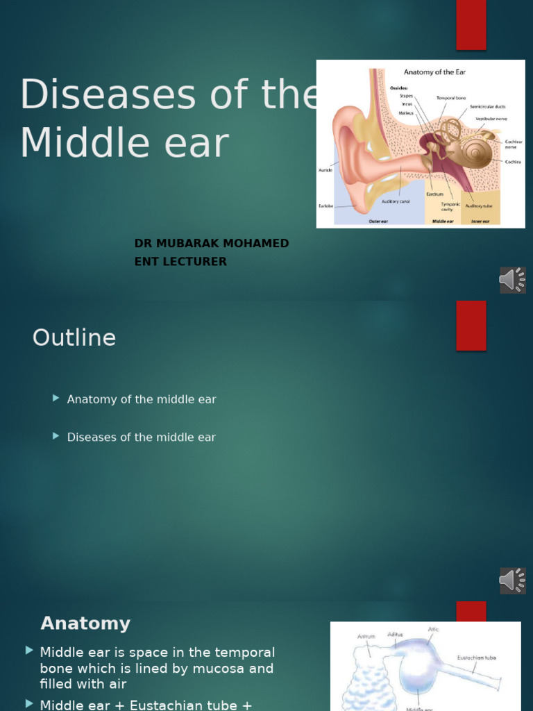 Middle Ear Diseases Overview | PDF | Ear | Otology