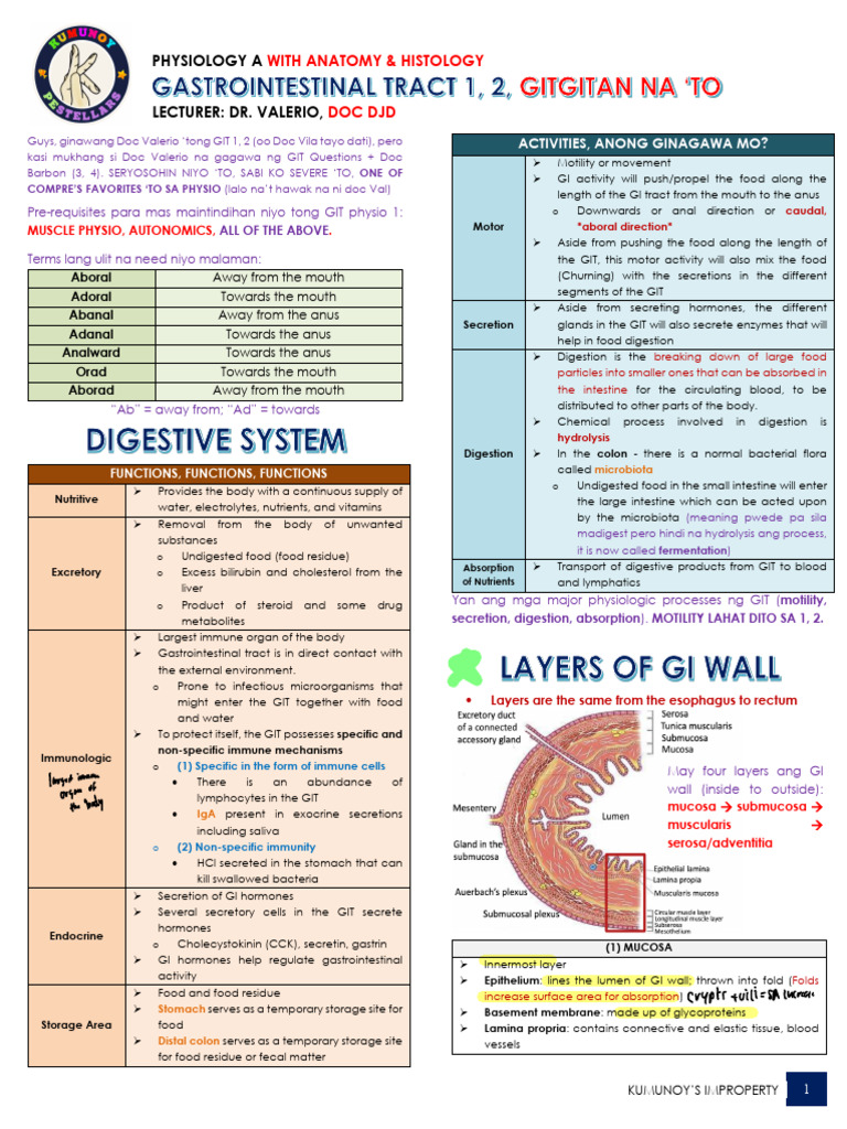 Medical Student GIT Study Guide | PDF | Gastrointestinal Tract | Stomach