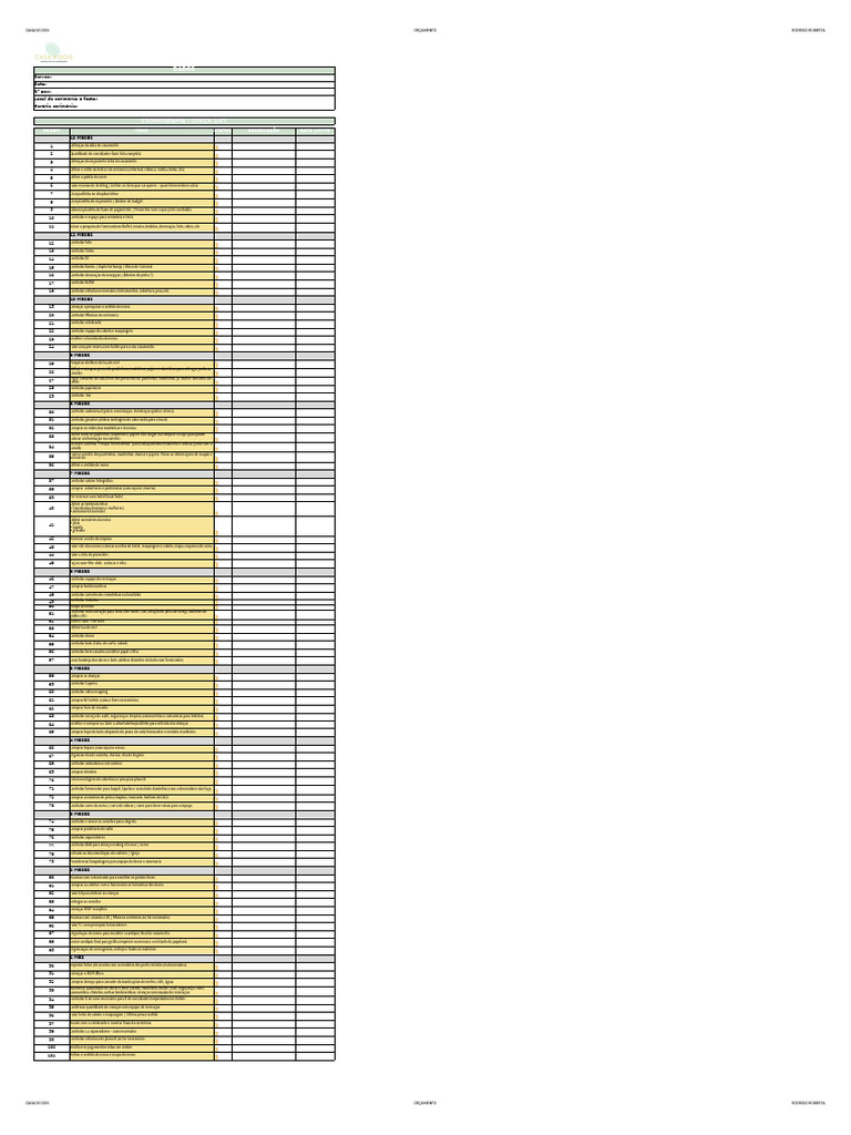 1615233364b Check List Completo v3 | PDF