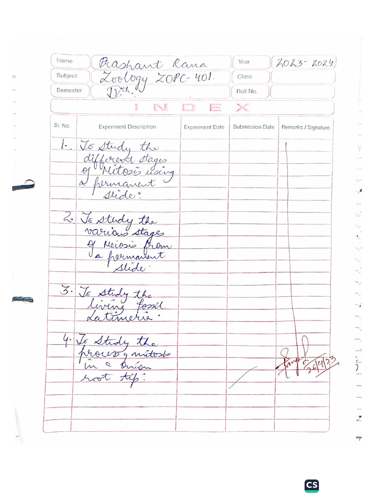 Ordinal Numbers in English – Rules, List, Usage & Examples visual data 5