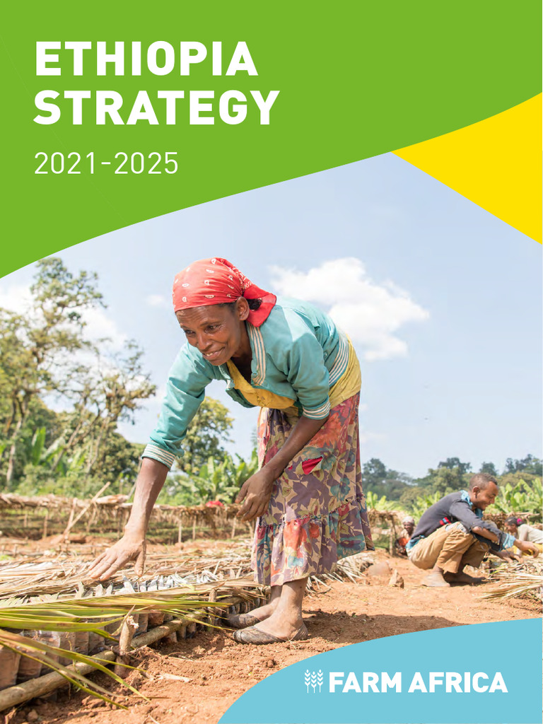Farm Africa Ethiopia Strategy 2021-2025 | PDF | Agriculture ...