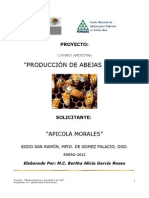 Producción abejas reinas apicultura