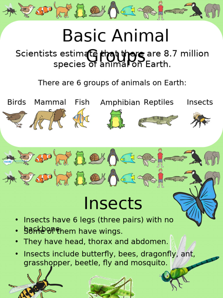 Overview of Animal Groups on Earth | PDF