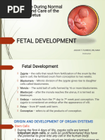 Ninja Nerd Embryology Hand Made Digital Notes by DR Of2027-28 | PDF