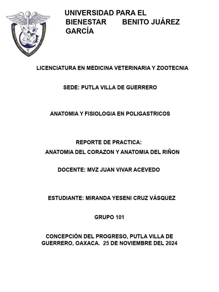 Reporte Del Riñon y Corazon 2.0 | PDF | Sistema circulatorio | Corazón