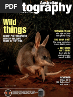 Standard Radiographic Technique Chart | PDF | Radiography | X Ray