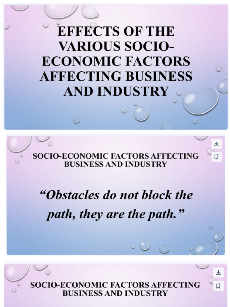 Socio Economic Factors | PDF