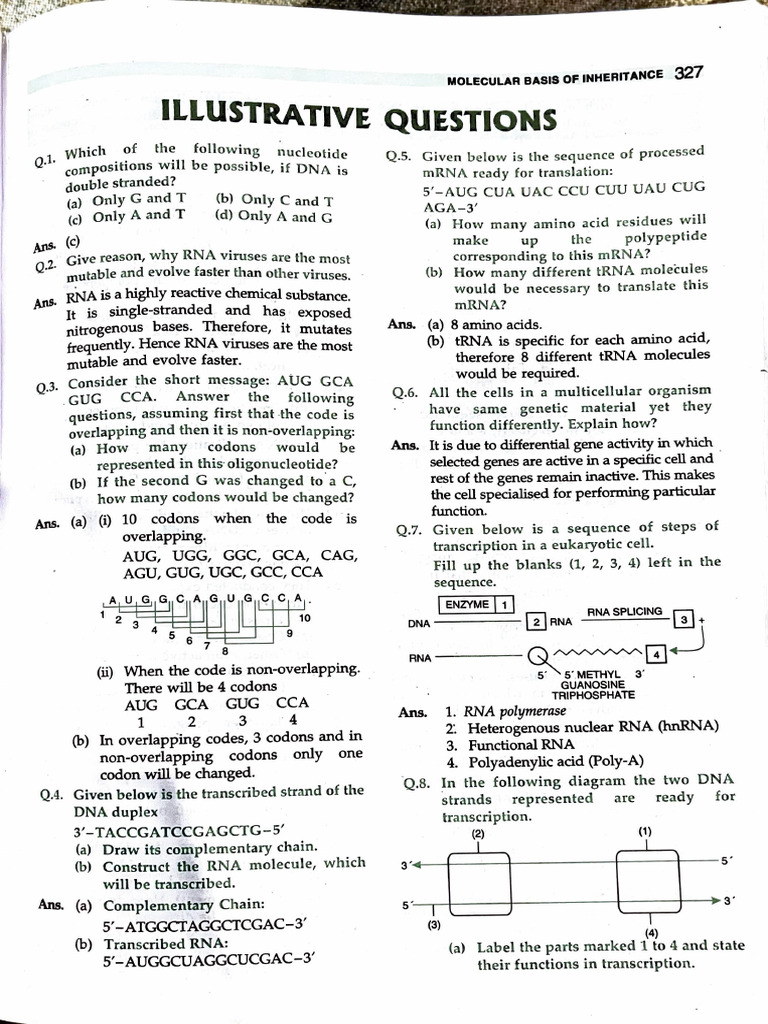 Book 9 biology | PDF | Gene | Messenger Rna