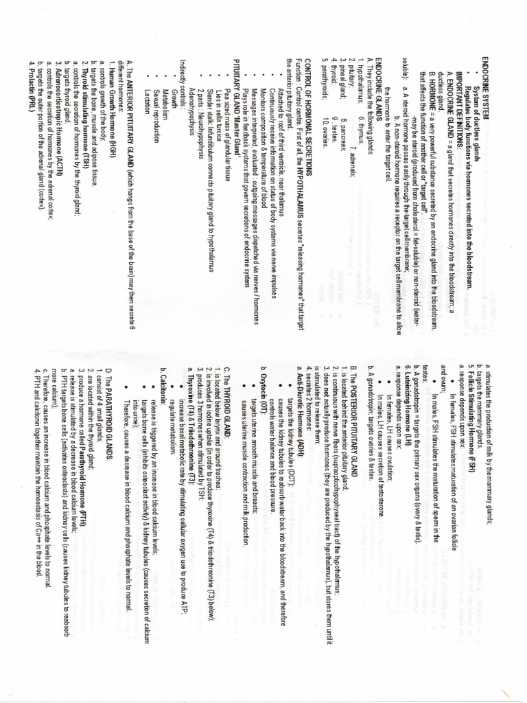 Endocrine Pdf