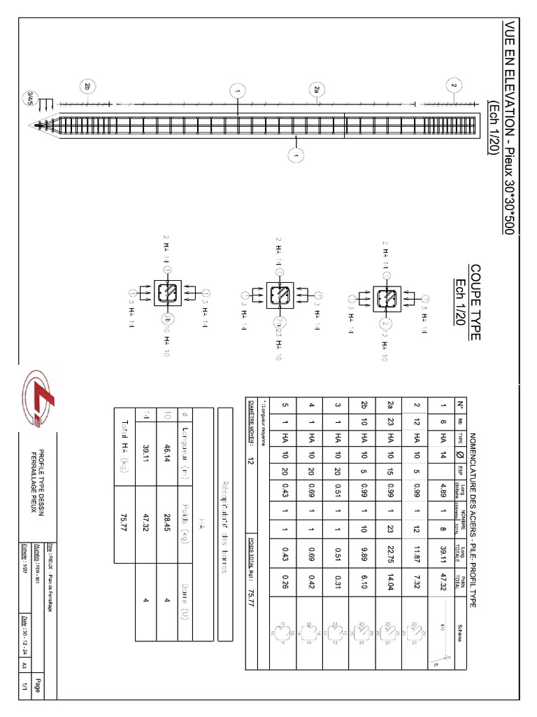 Fer Ferraillage Pieux Pdf