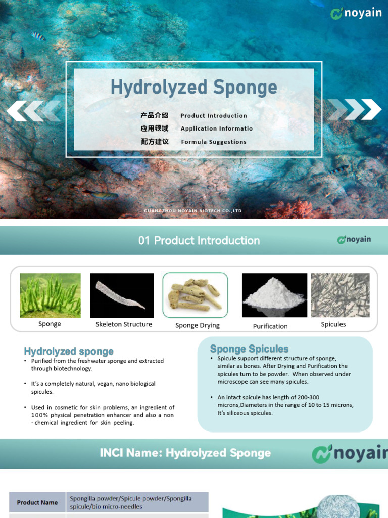 Hydrolyzed Sponge for Skin Care | PDF | Skin | Scar