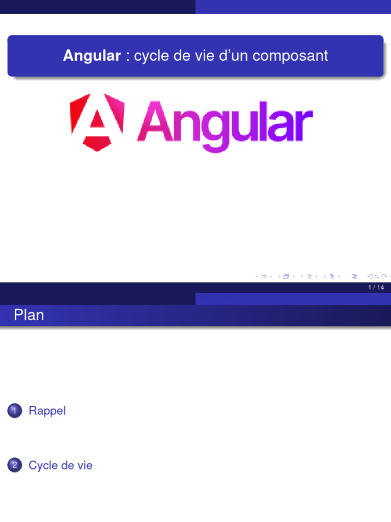 Cycle de vie des composants Angular | PDF | Informatique ...