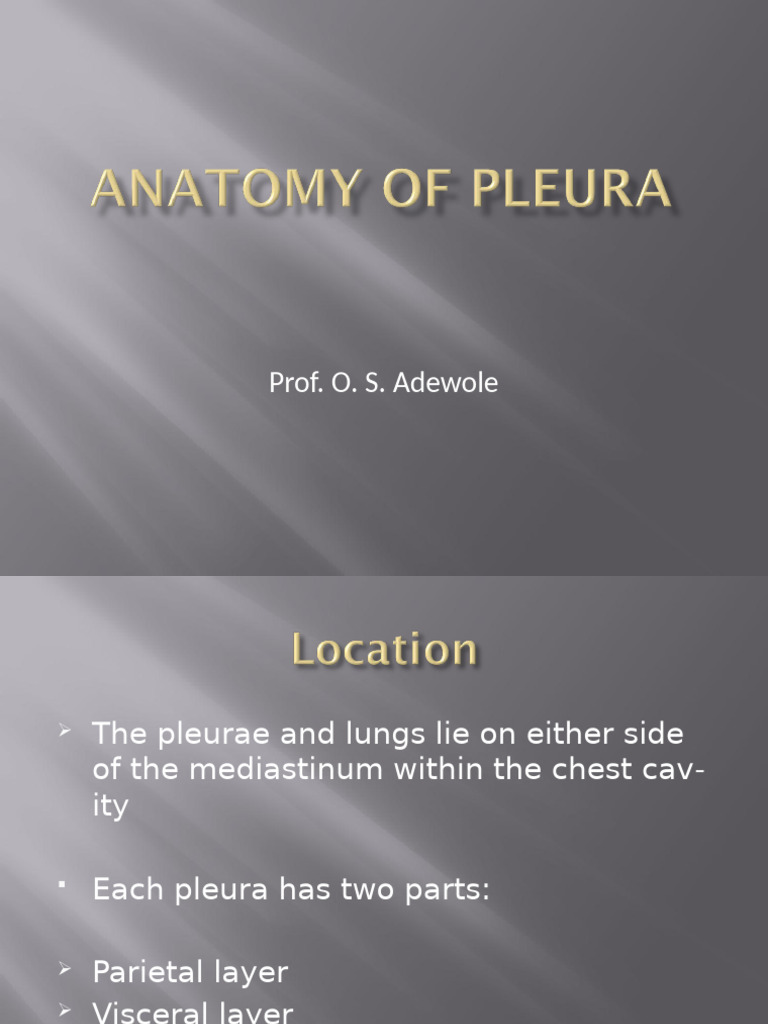 5 Anatomy Of Pleura Pdf Lung Thorax Human Anatomy