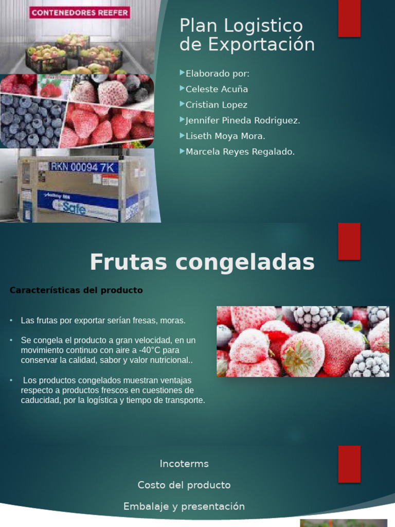 Plan Logistico De Exportación 1 Pdf Exportaciones