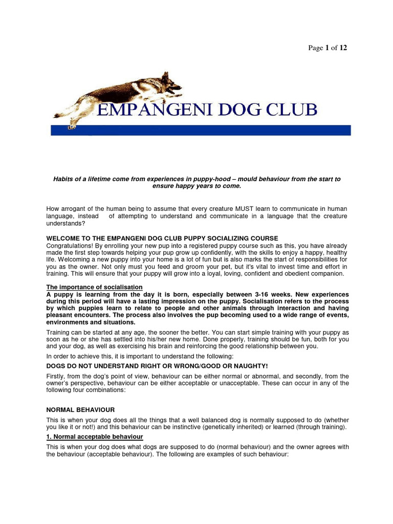 Andromeda Insecticide Overview | PDF | Dog Training | Dogs