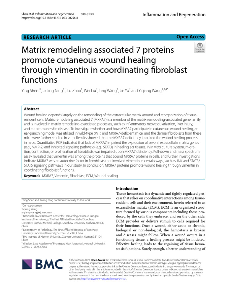 2023, Inflammation and Regeneration, Matrix | PDF | Extracellular ...