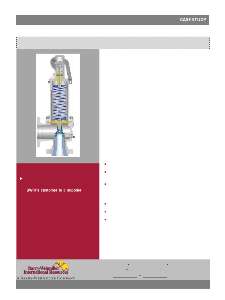 BWIR Casestudy Leser CAD Services | PDF | Business Process