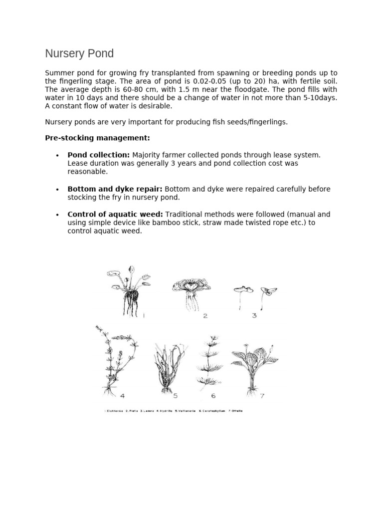 Nursery Pond Management for Fish Farming | PDF | Fertilizer | Manure