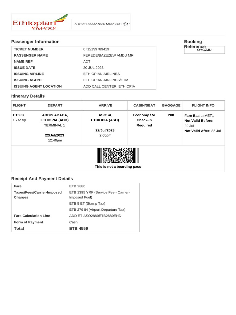 Electronic Ticket Receipt, July 22 For MR BAZEZEW AMDU FEREDE | PDF ...