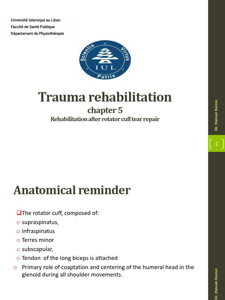 Rotator Cuff Tear Rehabilitation Guide | PDF | Shoulder | Joints
