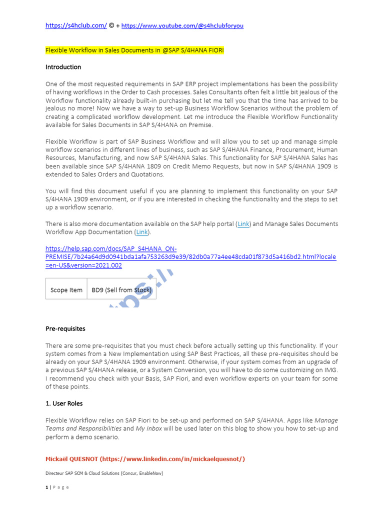 Flexible Workflow in Sales Documents in SAP | PDF | Software ...