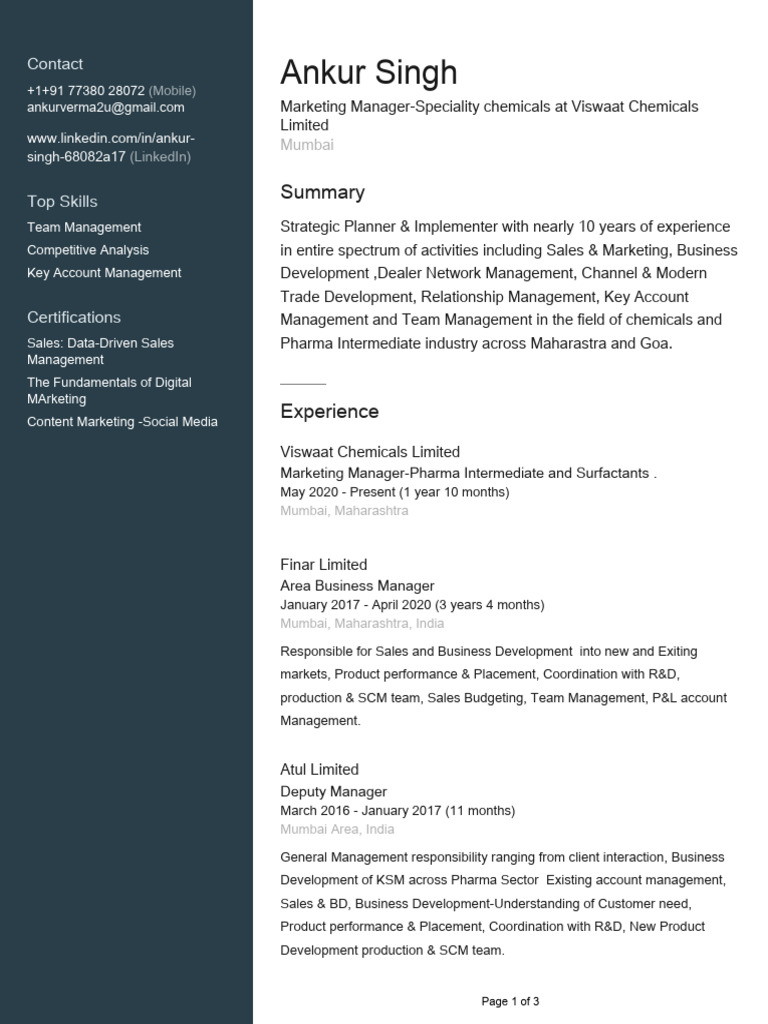 Marketing Manager Profile: Ankur Singh | PDF | Sales | Business