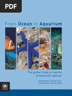 Download Aquarium by Daisy SN8111184 doc pdf