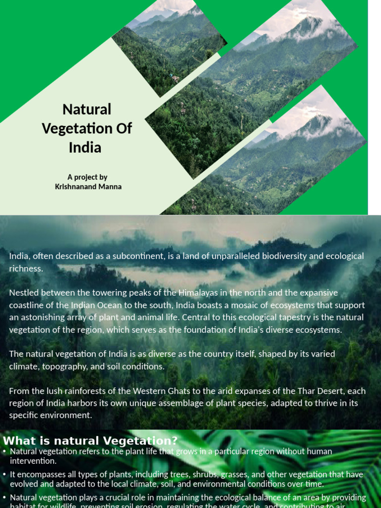 Natural Vegetation Krishnanand Manna | PDF | Forests | Trees