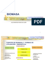 Biomasa - Julio Montes - 271004