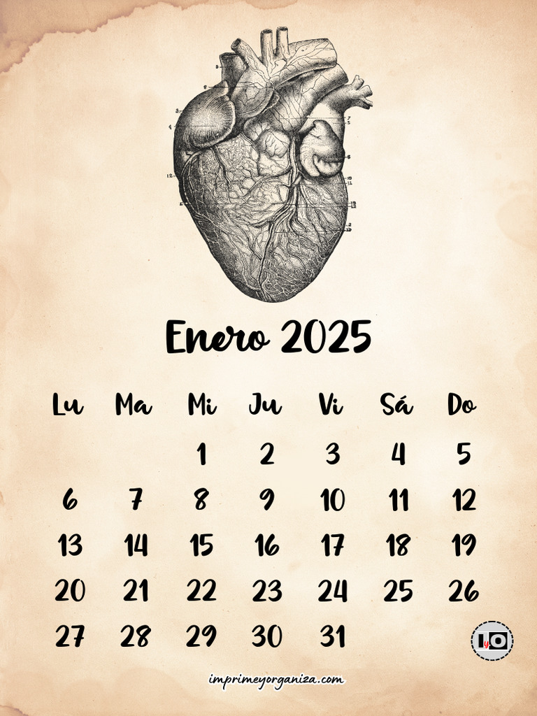 Calendario 2025 Anatomia Vintage PDF