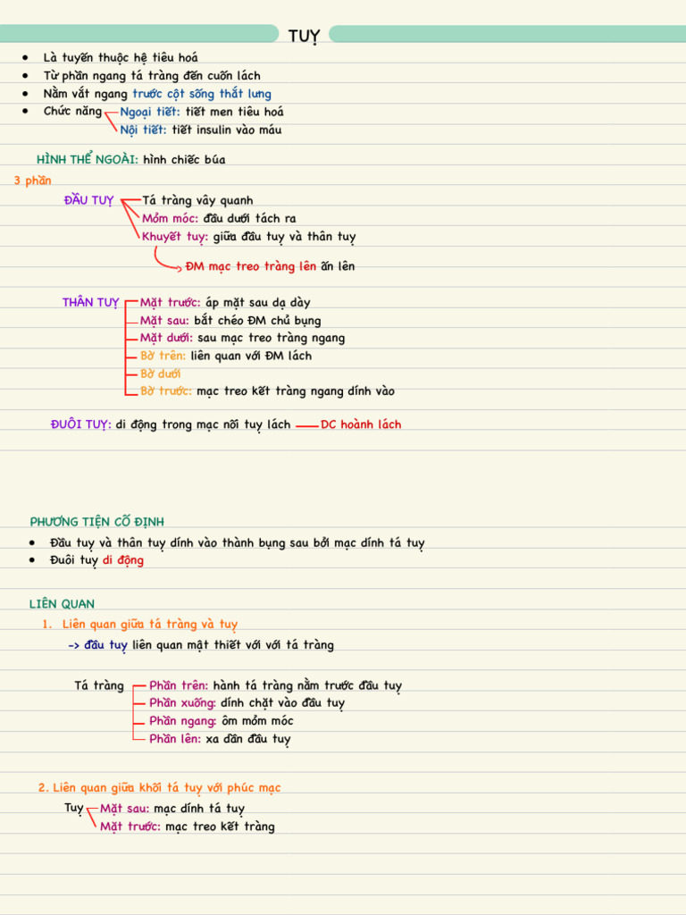 TR CC Ts NG TH TL NG Ngo Iti T: N Iti T | PDF