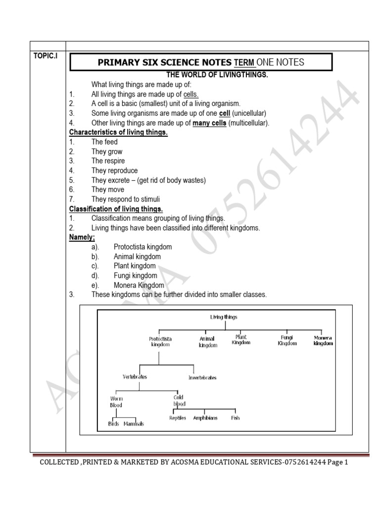 Ce3a9ff6 c62f 4ef9 b519 04d80a5c6feb Primary+Six+Science+2019 3 | PDF ...