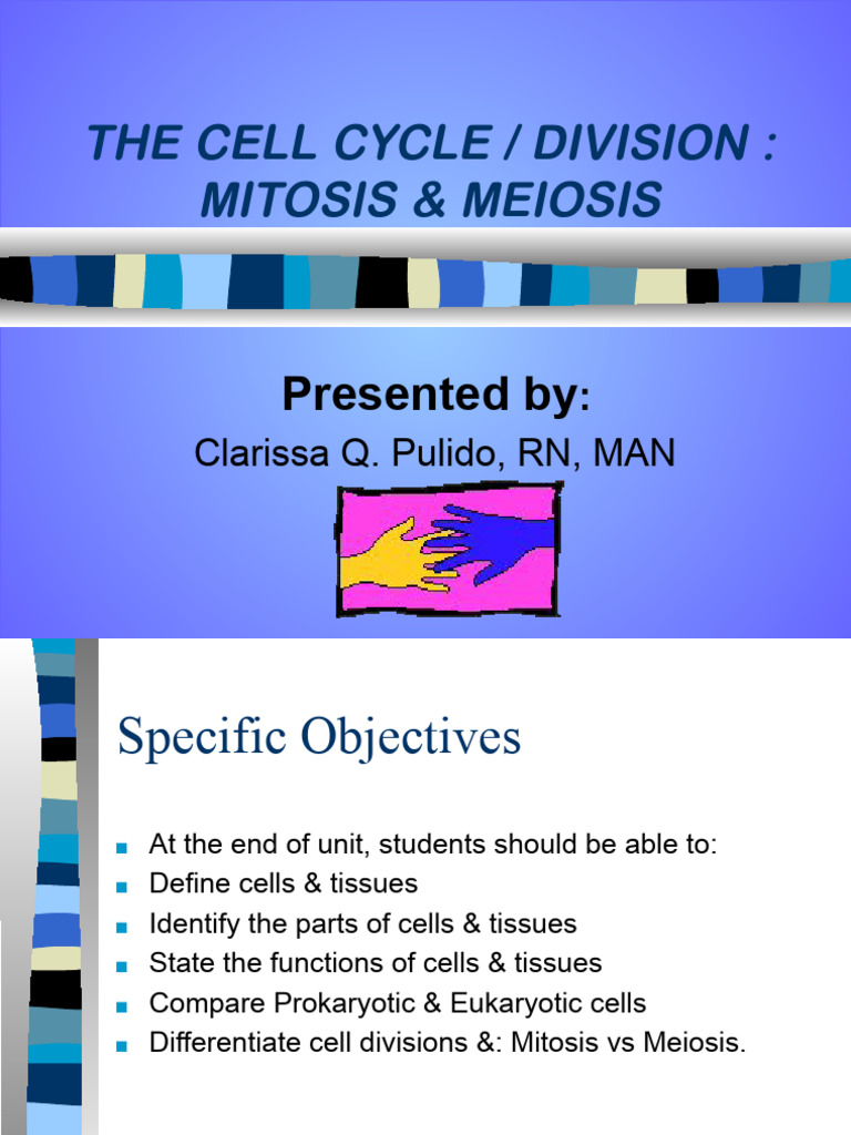Understanding Cell Cycle and Division | PDF | Mitosis | Meiosis