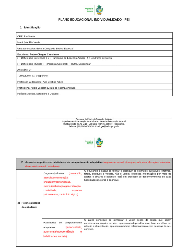Plano Educacional Individualizado para TEA | PDF | Educação Especial ...