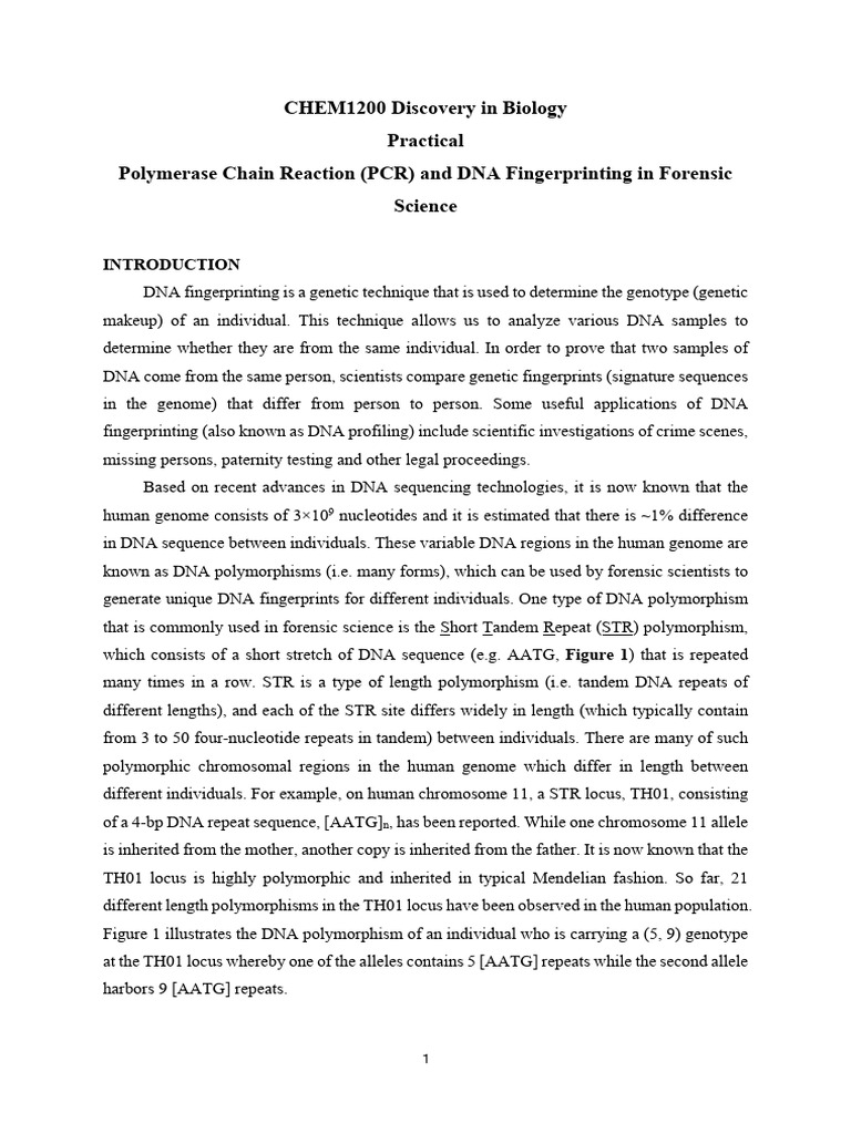 CHEM1200+DNA+Forensic+Lab Manual | PDF | Microsatellite | Dna Profiling