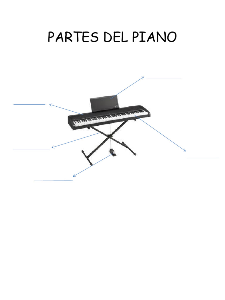 Partes Del Piano | PDF