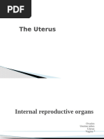 Anatomy of Female Reproductive Ligaments | PDF | Uterus | Ovary