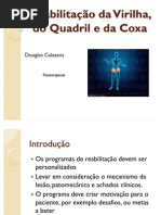 Reabilitação da Virilha, do Quadril e da