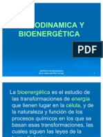 termodinamica_y_bioenergetica
