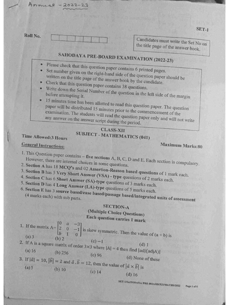 Sample paper DAV 2023-24 | PDF