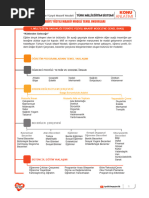 Maarif Modeli KA | PDF